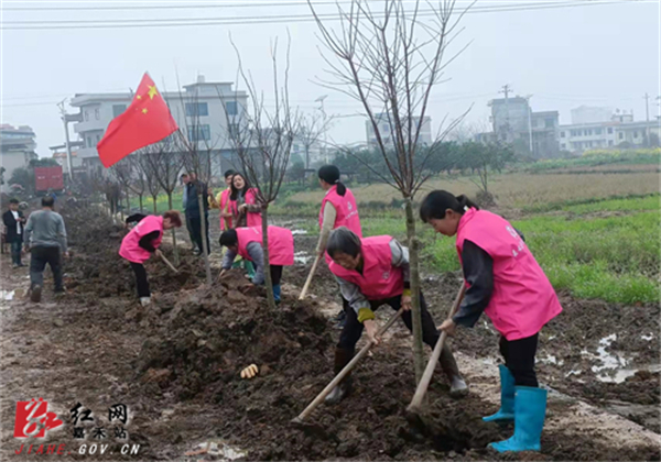 东边山村春季植树造林活动现场.jpg