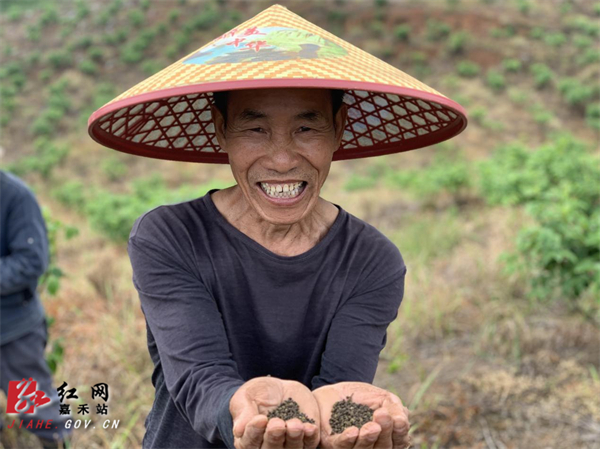 村民刘小仔捧着晒干的吴茱萸开怀大笑.jpg
