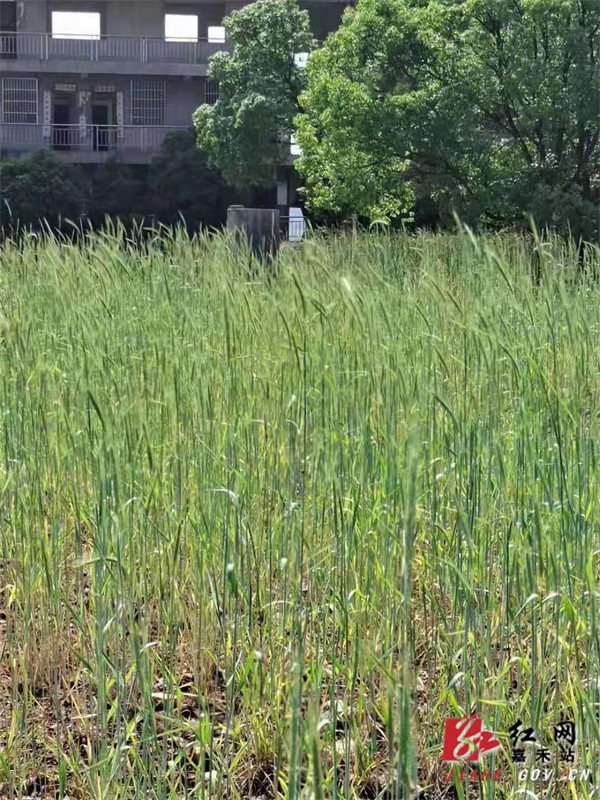 珠泉1.jpg