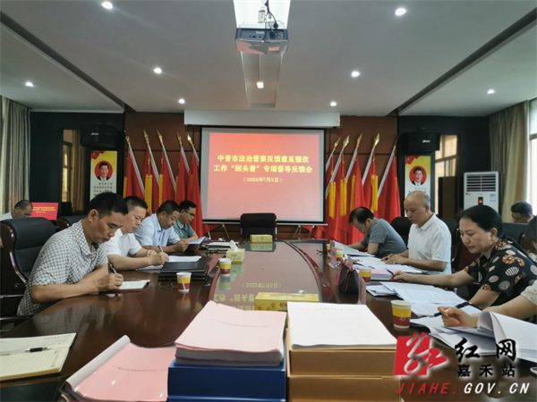 中省市法治督察反馈意见整改工作“回头看”专项督导工作反馈会.jpg