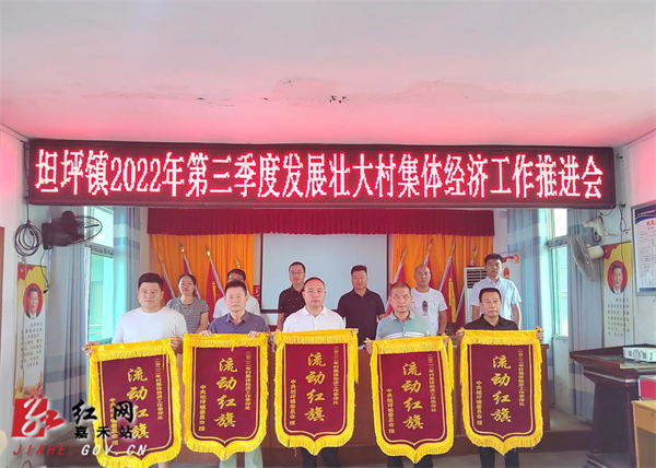 图为坦坪镇颁发发展壮大村集体经济流动红旗.jpg