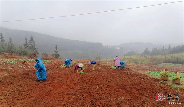 自然.jpg 自然.jpg