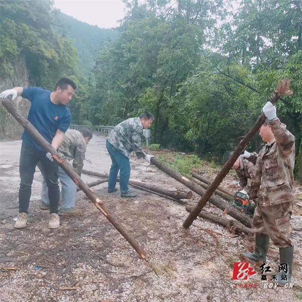 国家森林公园 (2).jpg