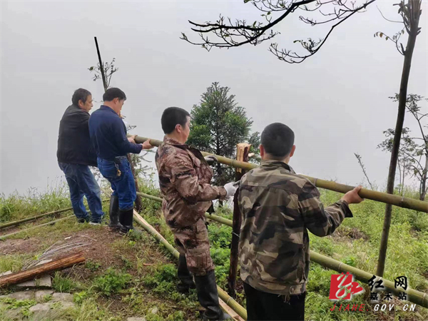 国家森林公园 (4).jpg