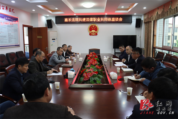 法院座谈.JPG