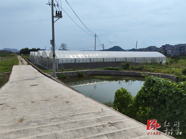 晋屏大坪岭新建的蔬菜育苗大棚.jpg 晋屏大坪岭新建的蔬菜育苗大棚.jpg