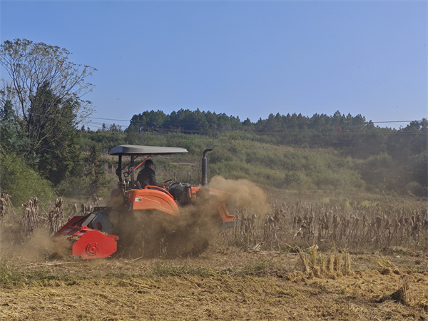 图片1.jpg 图片1.jpg