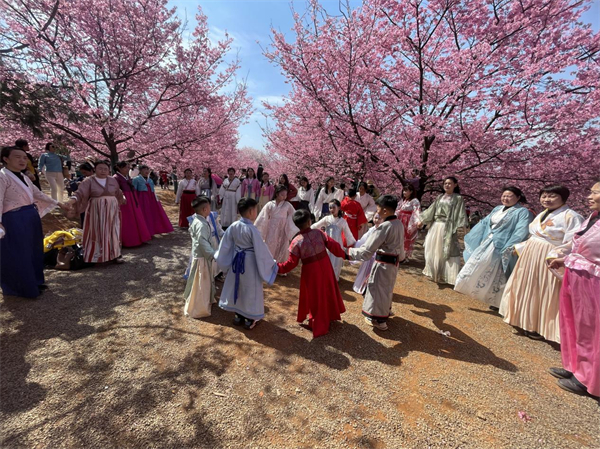石桥3801.jpg