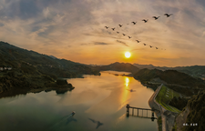 《盘江暮色雁影长》 