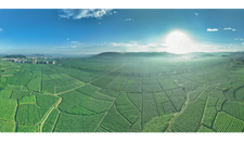 寿竹洞烟区晨韵