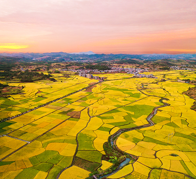 李根摄于嘉禾县普满金叶大道2022.10  (1).jpg