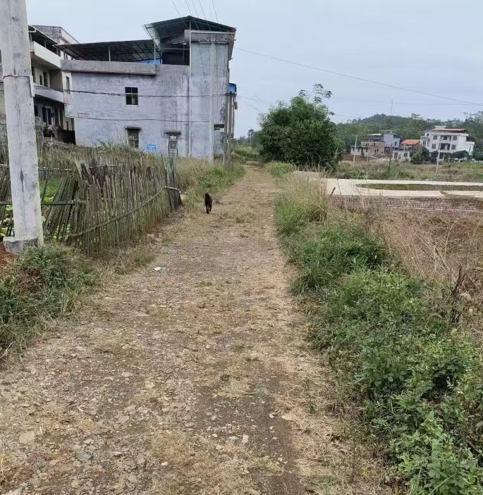 微信图片_20260122162103_32_878.jpg 微信图片_20260122162103_32_878.jpg