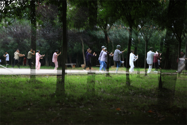 《晨光里的舞步》摄于九老峰公园,雷建军.jpg 《晨光里的舞步》摄于九老峰公园,雷建军.jpg