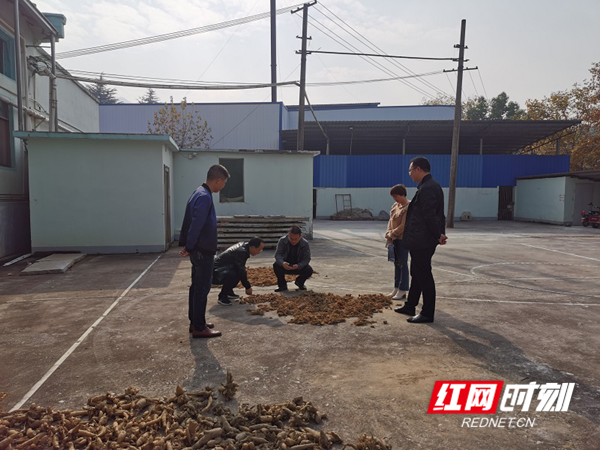 图片1_副本.png