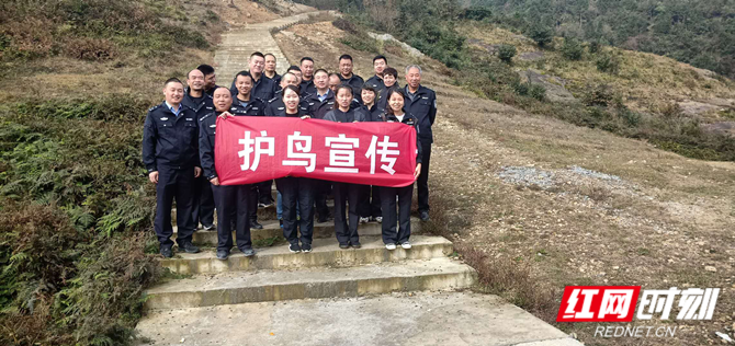 图片2_副本.png