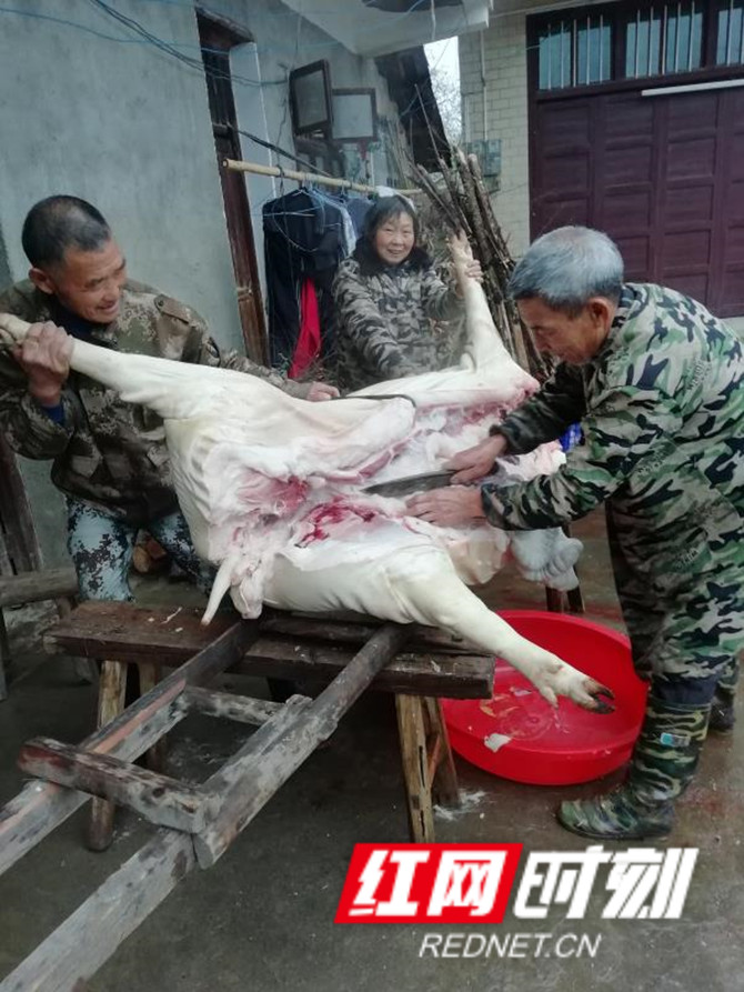 微信图片_20210207174134_副本.jpg