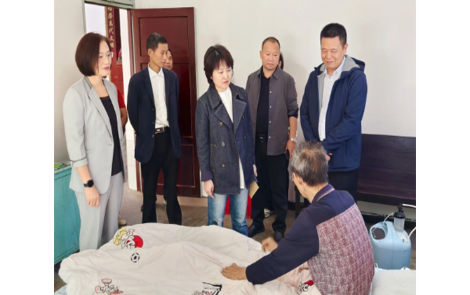 伍英专题调研寺溪冲村乡村振兴工作
