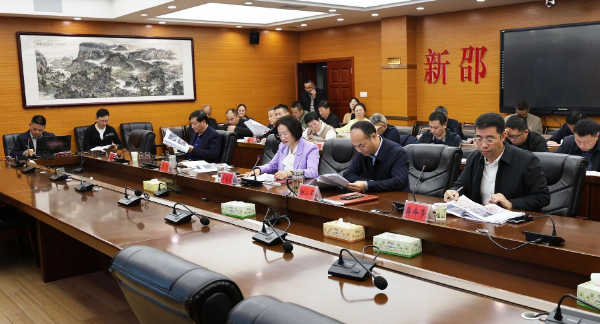 新邵县国土空间规划委员会召开2025年第3次会议