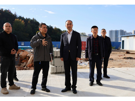 谢小军调研重点项目建设工作