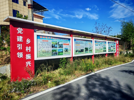 雀塘镇：垃圾小镇的蝶变