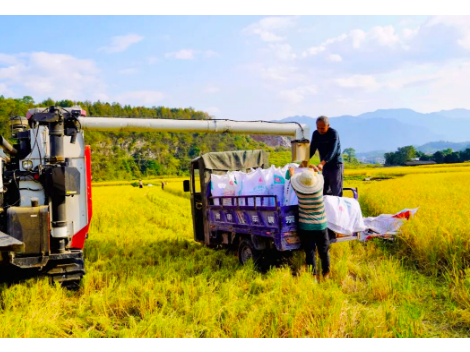 【新邵好故事|新邵新农人】艾利铭：痴情种粮花甲翁