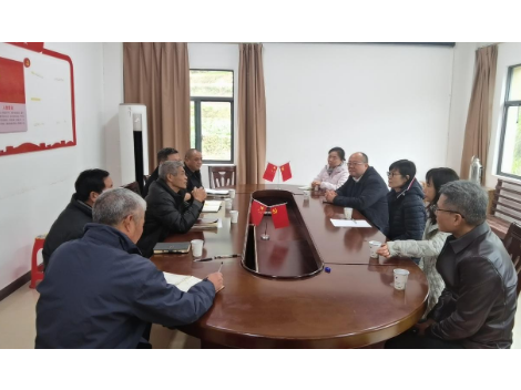 大新镇：铜鼓顶上电信情