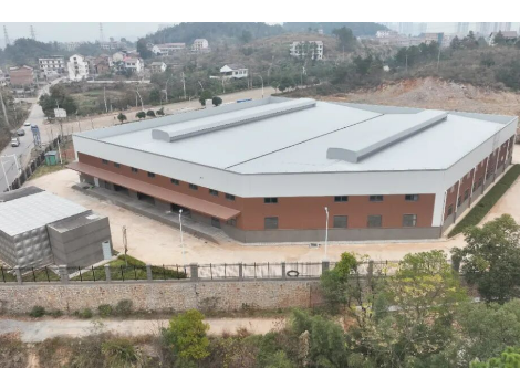 【四中全会精神在基层】新邵县新华书店仓储物流中心项目：优化资源配置，服务教育发展