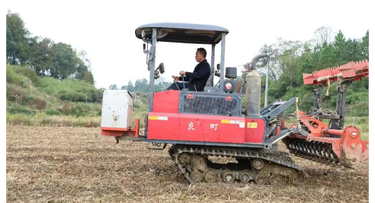 【新邵好故事|新邵新农人】张健：种下“黄金果” 闯出致富路