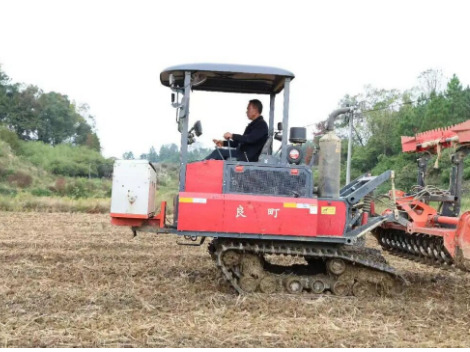 【新邵好故事|新邵新农人】张健：种下“黄金果” 闯出致富路