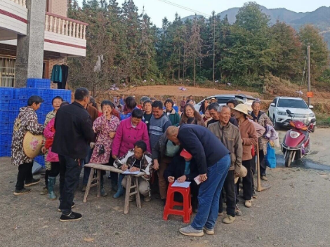 【四中全会精神在基层】朗概山村乡友：回乡挖出金“药”匙 ，开出致富新“药方”