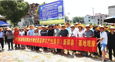 湖南新邵举办早稻优质品种观摩活动 130余名农业从业者共探丰产技术