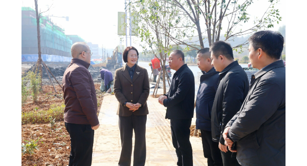 黄海蓉调研督导省委巡视反馈问题整改工作