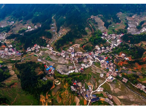 【我们这一年】迎光乡：勤勉耕耘结硕果 矢志超越展宏图