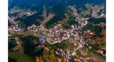 【我们这一年】迎光乡：勤勉耕耘结硕果 矢志超越展宏图