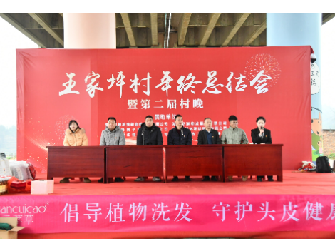 新邵县酿溪镇王家坪村举办年终总结会暨第二届村晚活动