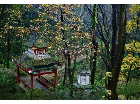 【我们这一年】落笔名镇建设，绘就发展新图——巨口铺镇2025年高质量发展纪实