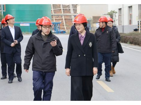 黄海蓉督导全县烟花爆竹管控、空气质量、安全生产等工作