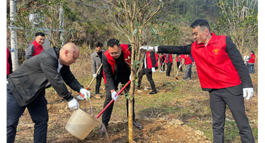 新邵县龙溪铺镇：“植”此青绿映初心，文明新风润山乡