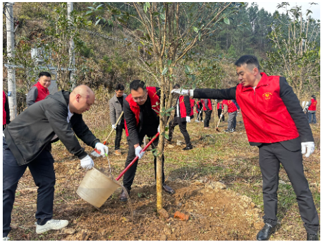 新邵县龙溪铺镇：“植”此青绿映初心，文明新风润山乡