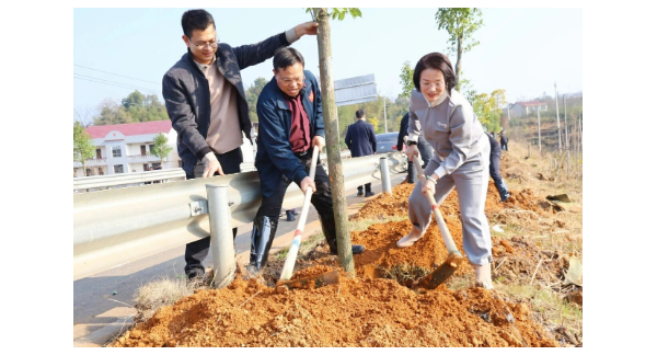 新邵县开展集中义务植树活动