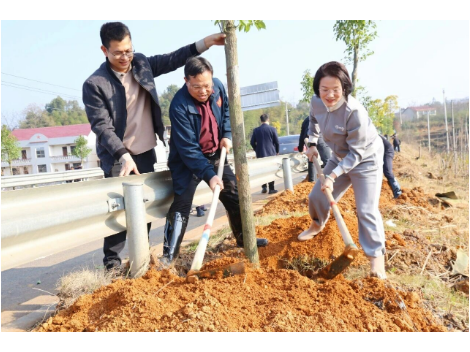 新邵县开展集中义务植树活动