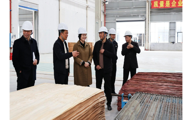 黄海蓉赴企业一线开展“送解优”行动