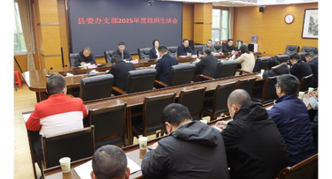 黄海蓉参加县委办党支部2025年度组织生活会