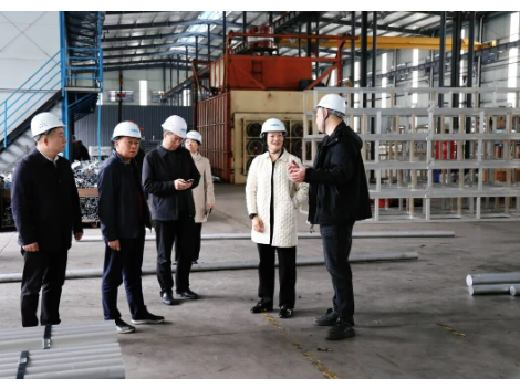 黄海蓉到企业开展“送解优”走访调研