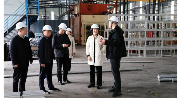 黄海蓉到企业开展“送解优”走访调研