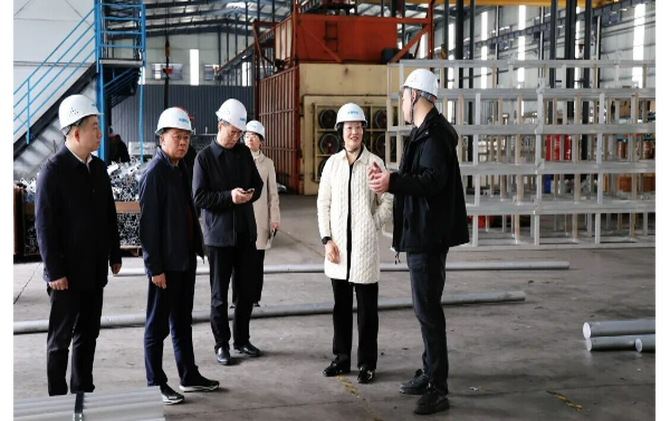 黄海蓉到企业开展“送解优”走访调研