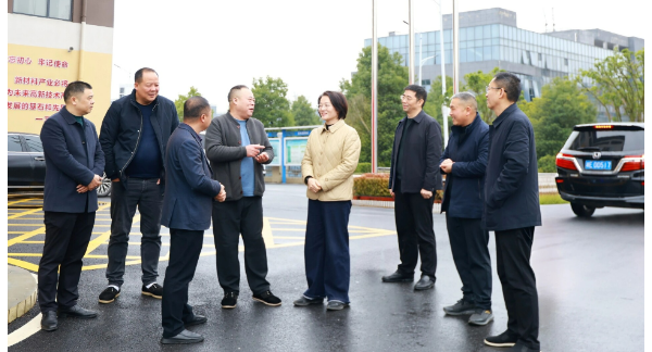 黄海蓉调研生态环保、企业复工复产、春耕备耕等工作