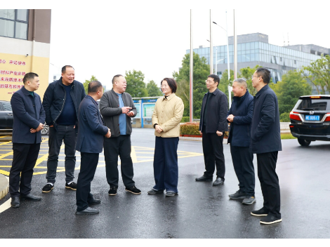 黄海蓉调研生态环保、企业复工复产、春耕备耕等工作