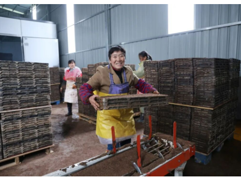 新邵：抢抓农时备春耕 开好丰产增收“局”