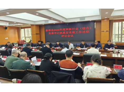 新邵县2025年度两新行业（综合）党委书记抓基层党建工作述职评议会召开